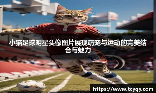 bb贝博艾弗森官方网站