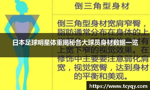 日本足球明星体重揭秘各大球员身材数据一览